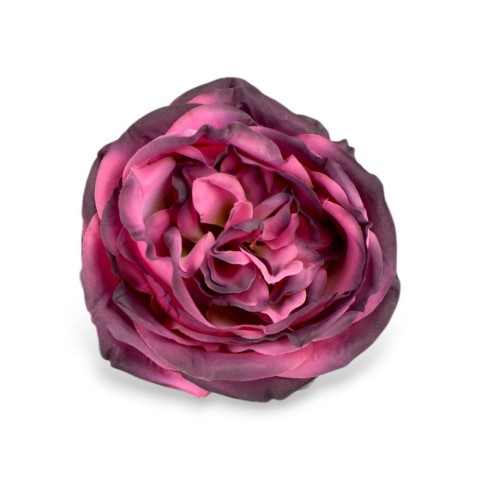 PICK ROSA CABBAGE FUXIA